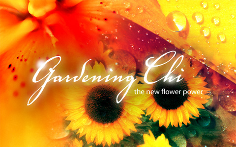 Photoshop(フォトショップ)講座 料金一覧 無料体験レッスン｜PIMC(ピム) - 名古屋 パソコン教室