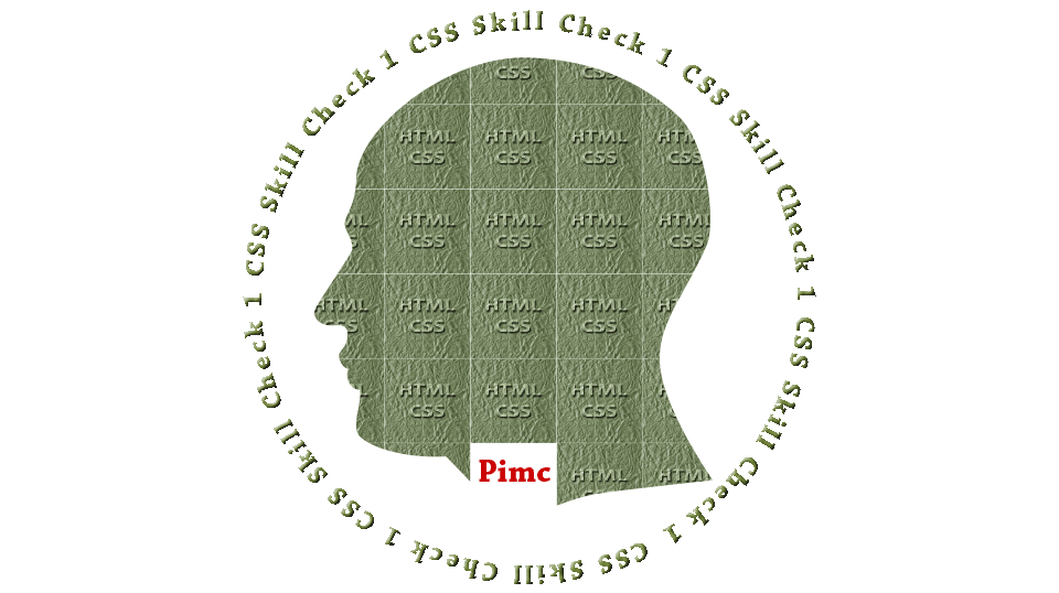 css スキルチェック 1